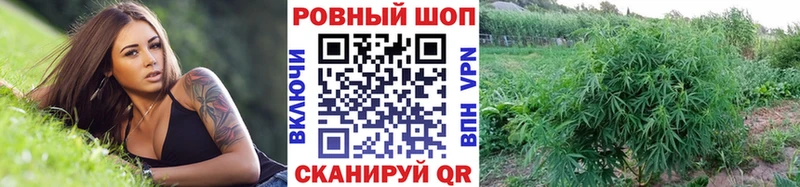  COCAIN Кола