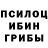 Псилоцибиновые грибы GOLDEN TEACHER Taras Bukhanchenko