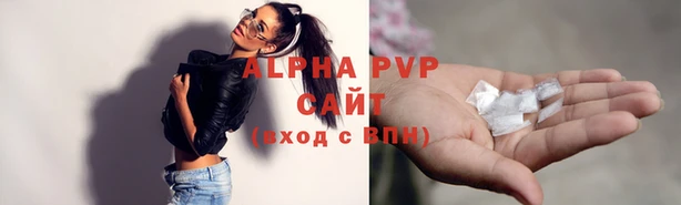 шишки Алексин