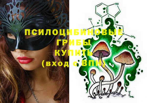 шишки Алексин